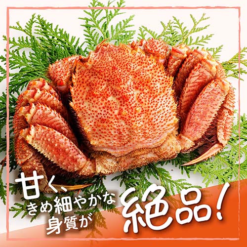 北海道オホーツク海産 毛ガニ（姿） 約550g