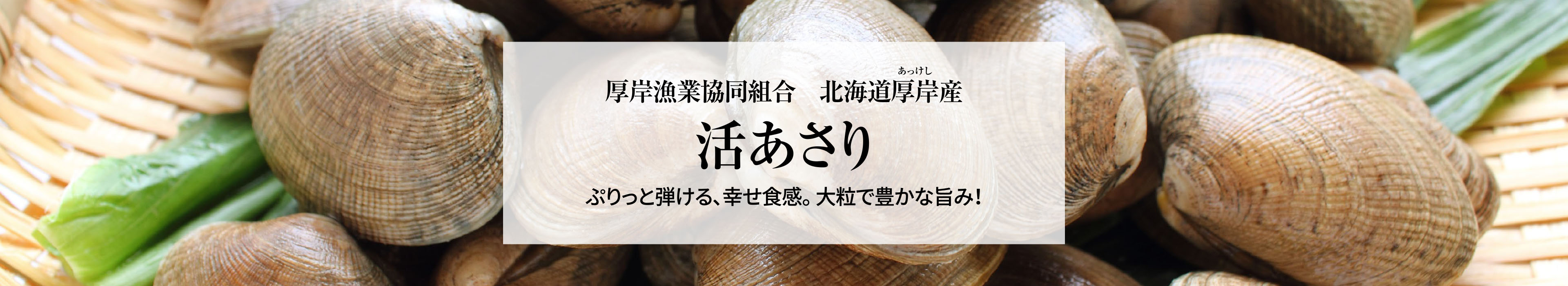 北海道厚岸産 活あさり