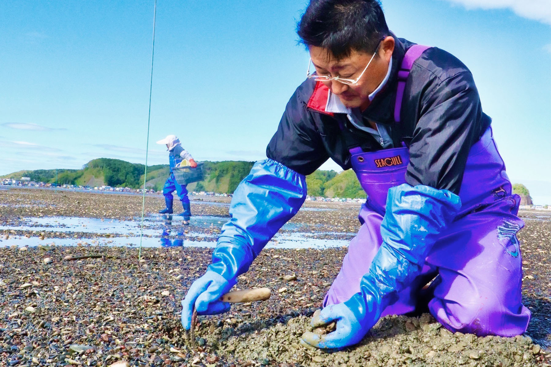 初夏の旬の時期に、漁師さんが手掘りで収獲！砂出し済みで便利です。