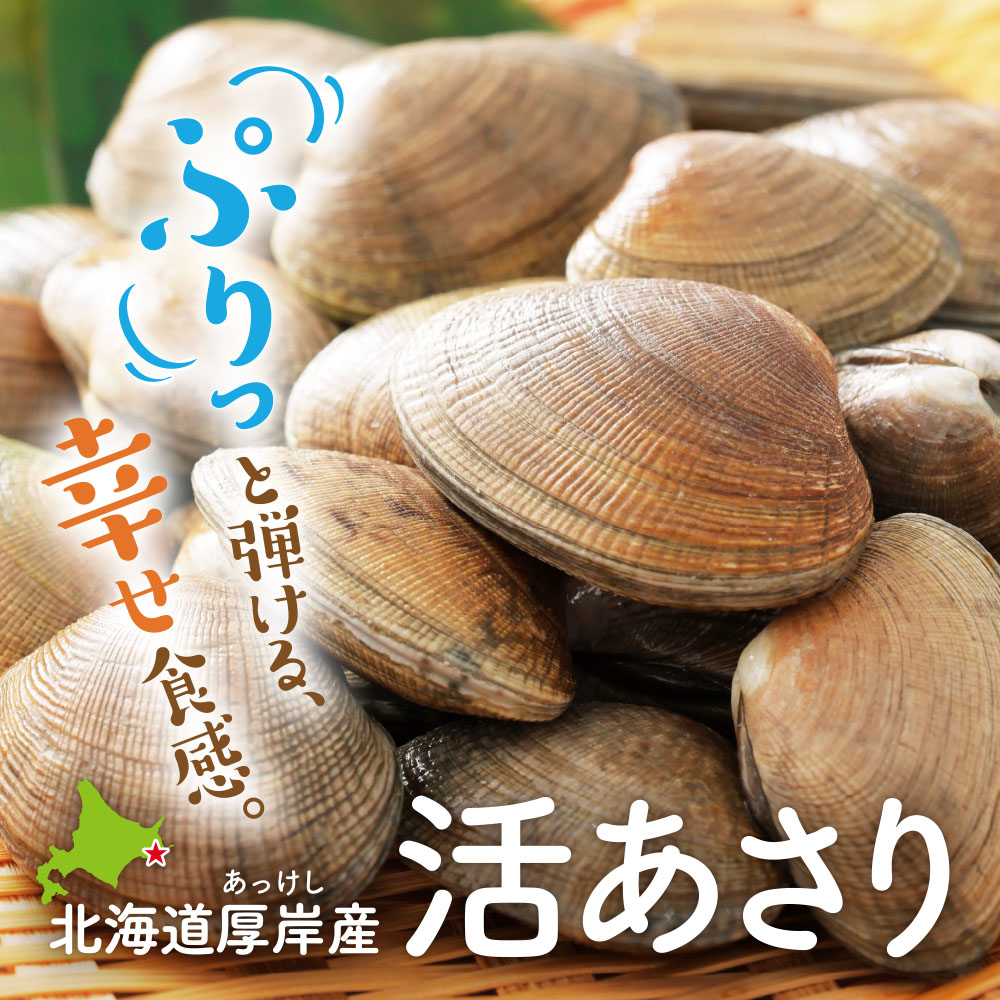 北海道厚岸産 天然活あさり