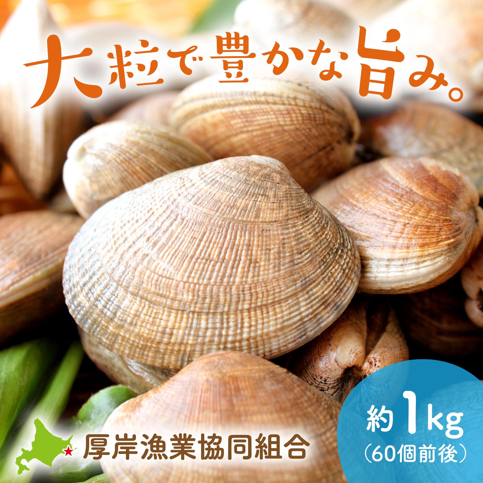 北海道厚岸産 活あさり 約1kg（60個前後）