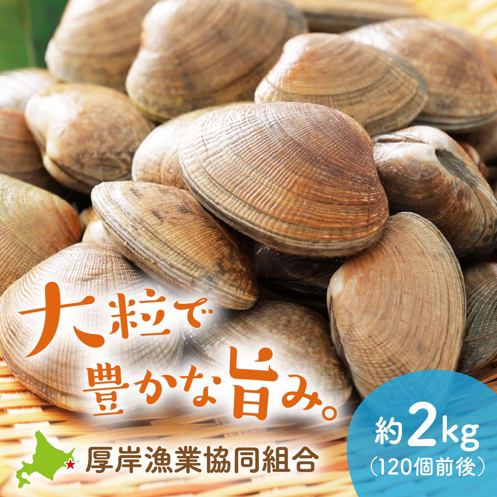 北海道厚岸産 活あさり 約2kg（120個前後）