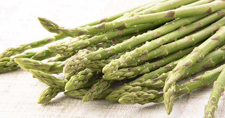 その時期、旬で一番おいしい農産品・海産品を皆さまへ！