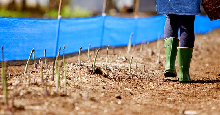 こだわりを知ってもらい、地域・産地を応援！