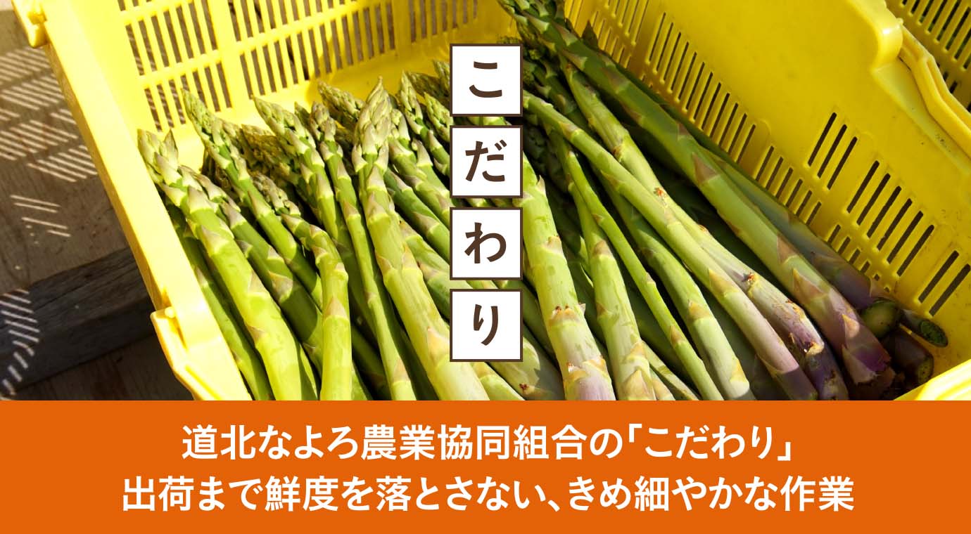 道北なよろ農業協同組合の「こだわり」 出荷まで鮮度を落とさない、きめ細やかな作業