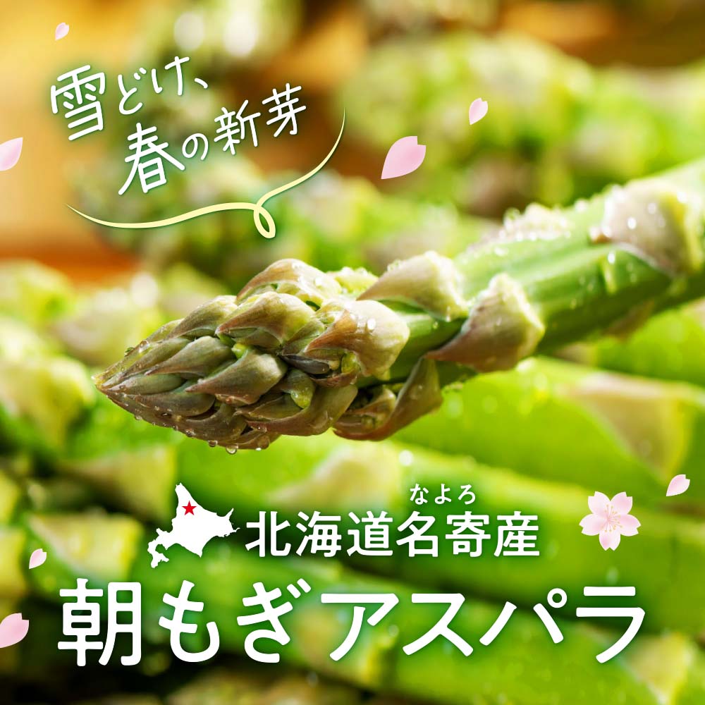 北海道名寄産 朝もぎアスパラ〈秀品〉