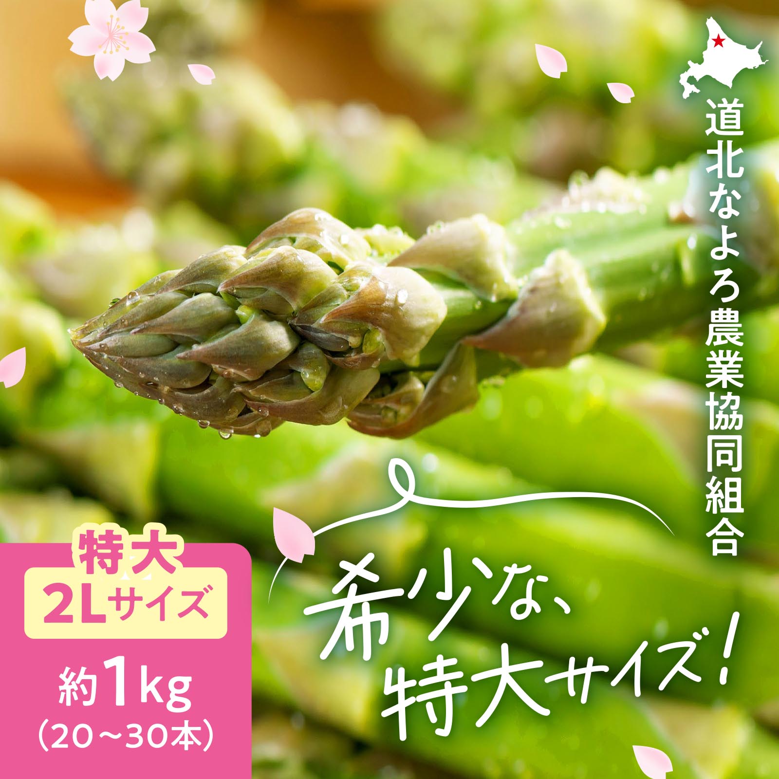 朝もぎアスパラ 2L 1kg