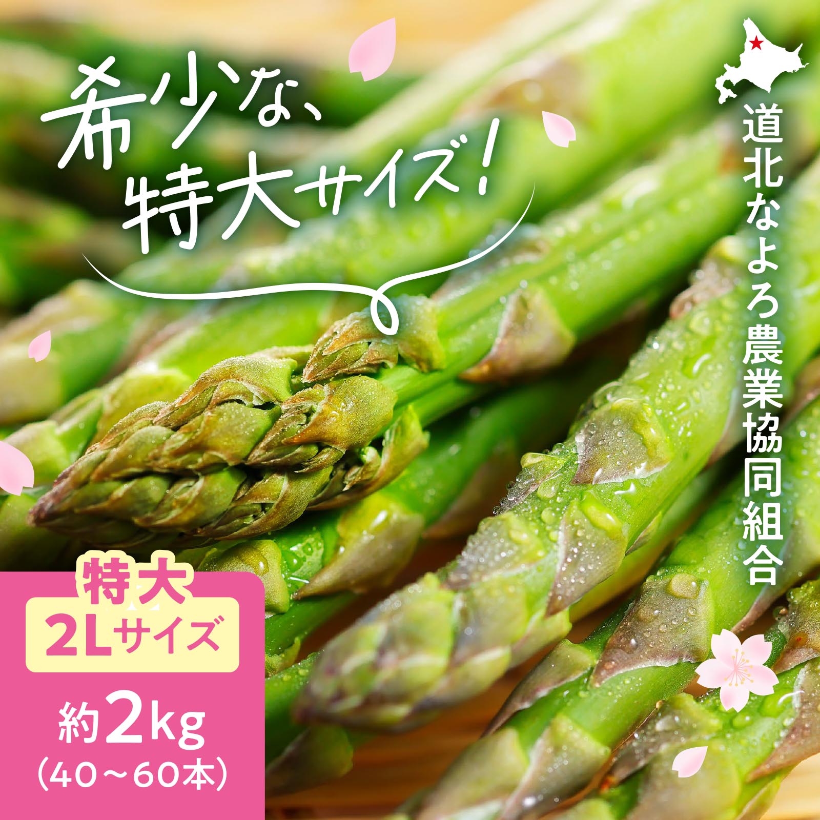 朝もぎアスパラ 2L 2kg