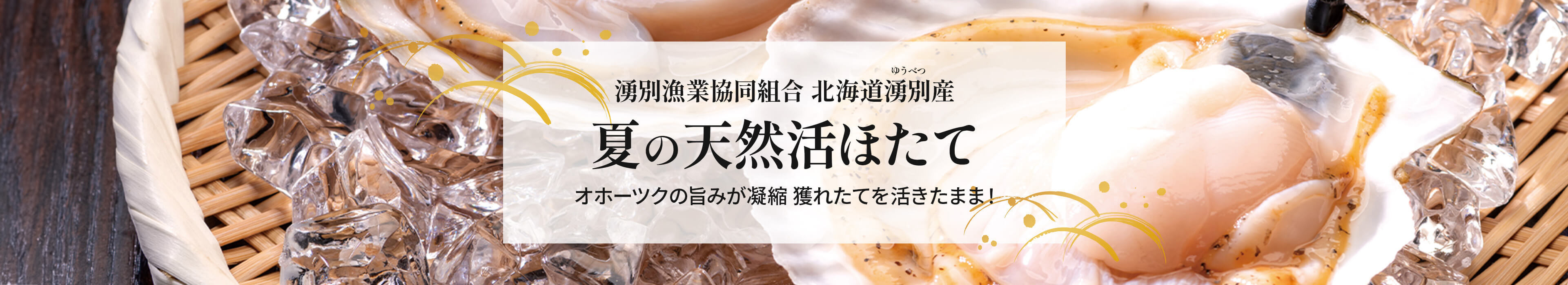 夏の天然活ほたて