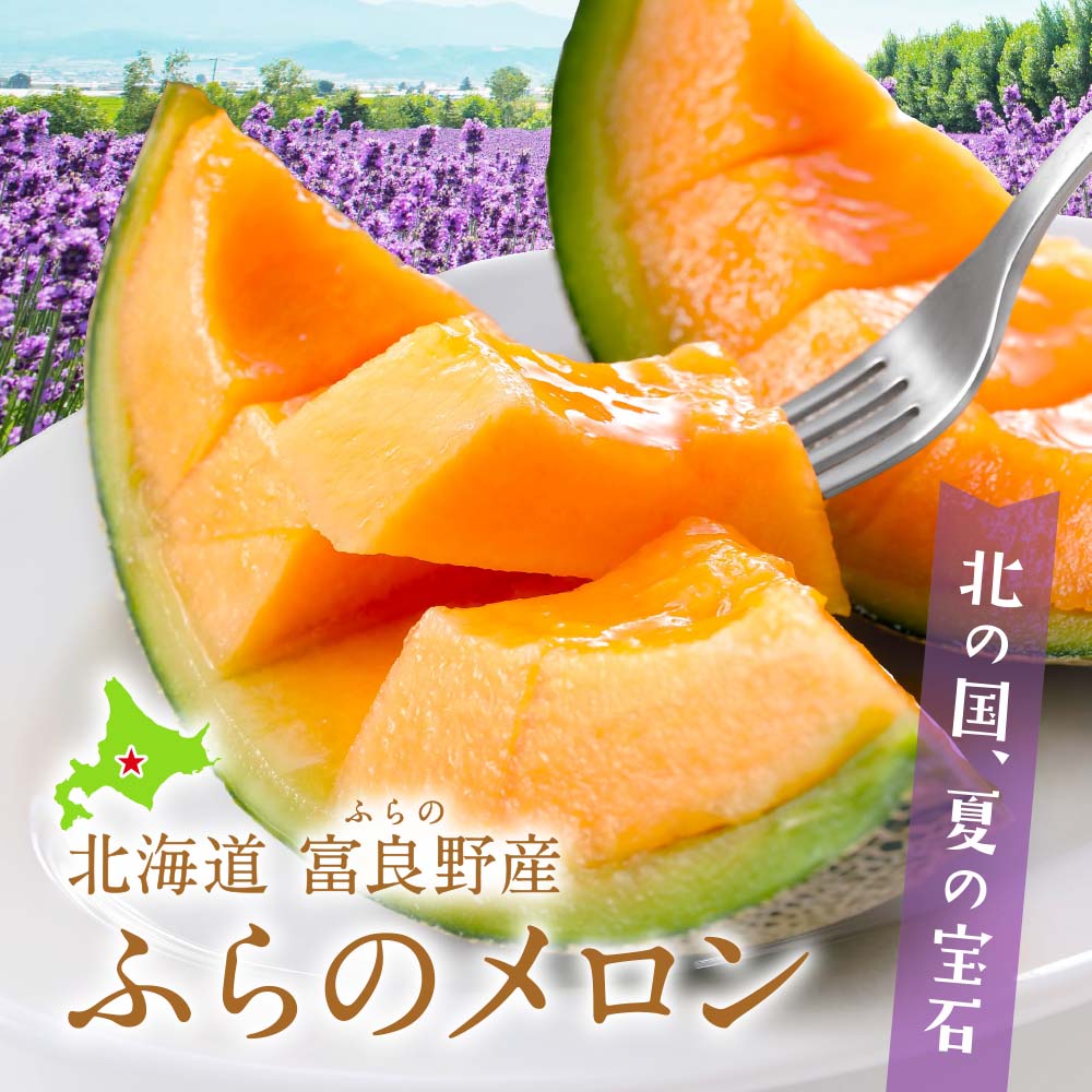 北海道富良野産 ふらのメロン