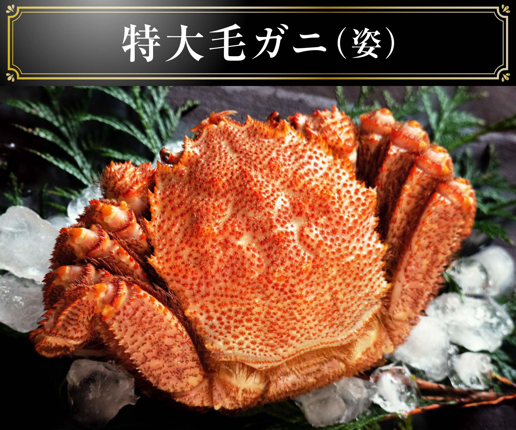 特大毛がに