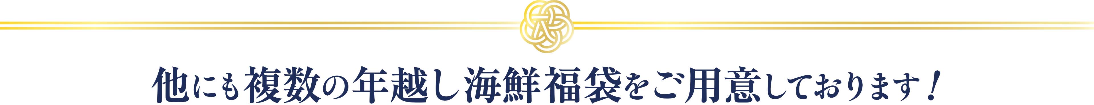 他にも複数の年越し海鮮福袋をご用意しております！