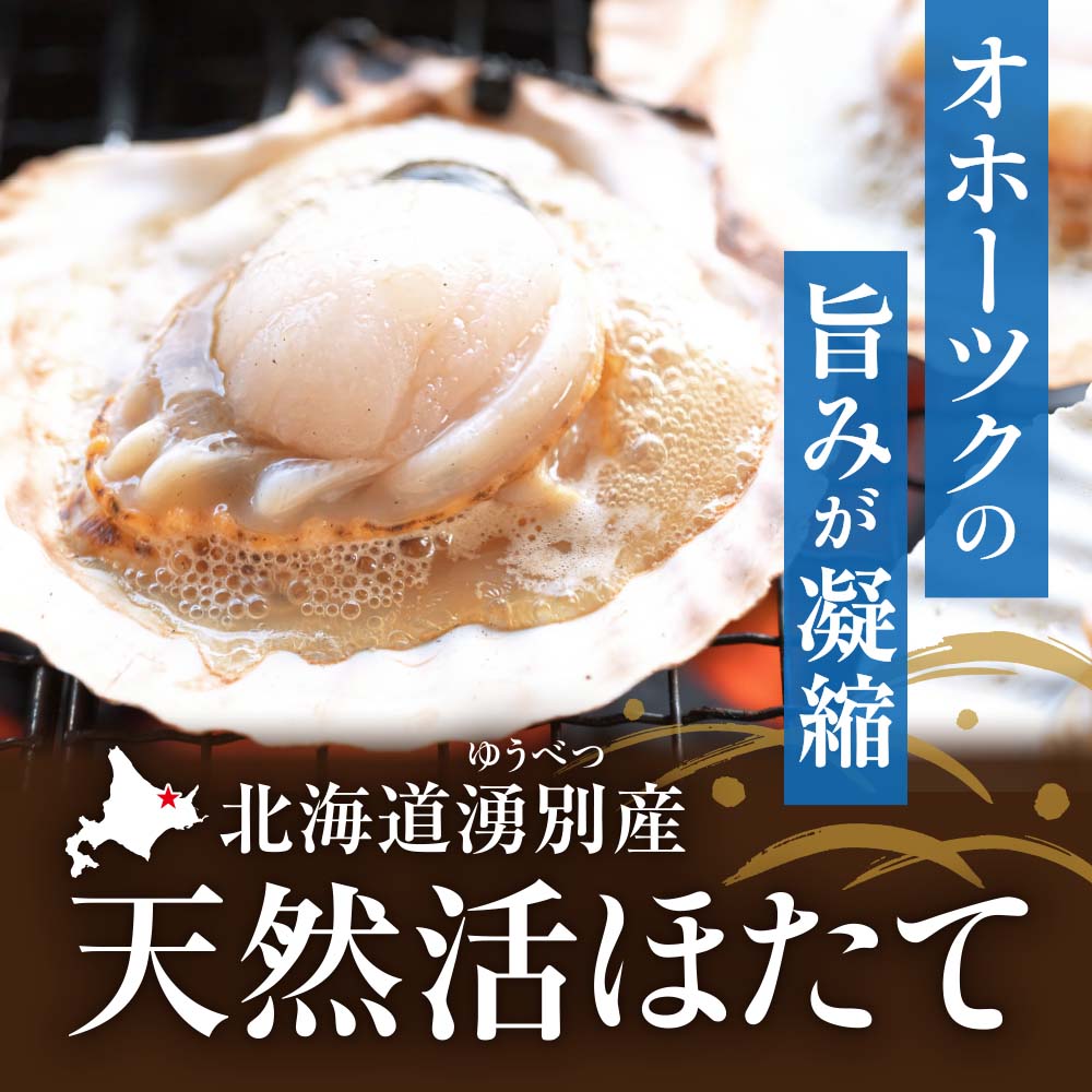 北海道湧別産 天然活ほたて