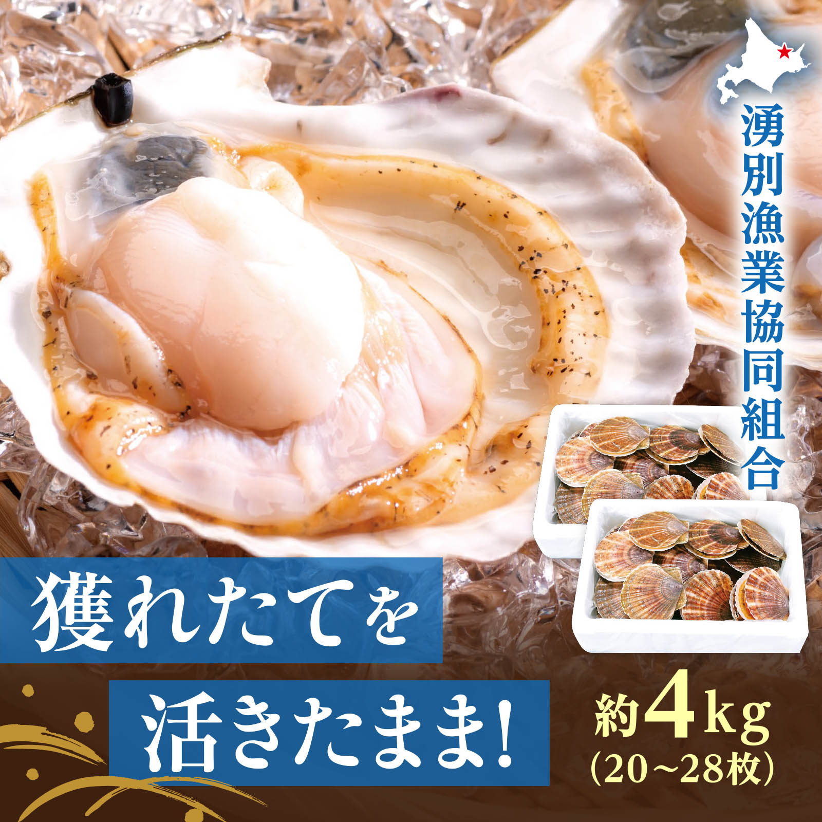 商品が入ります