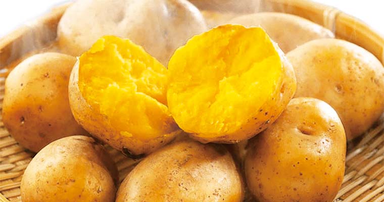 その時期、旬で一番おいしい農産品・海産品を皆さまへ！