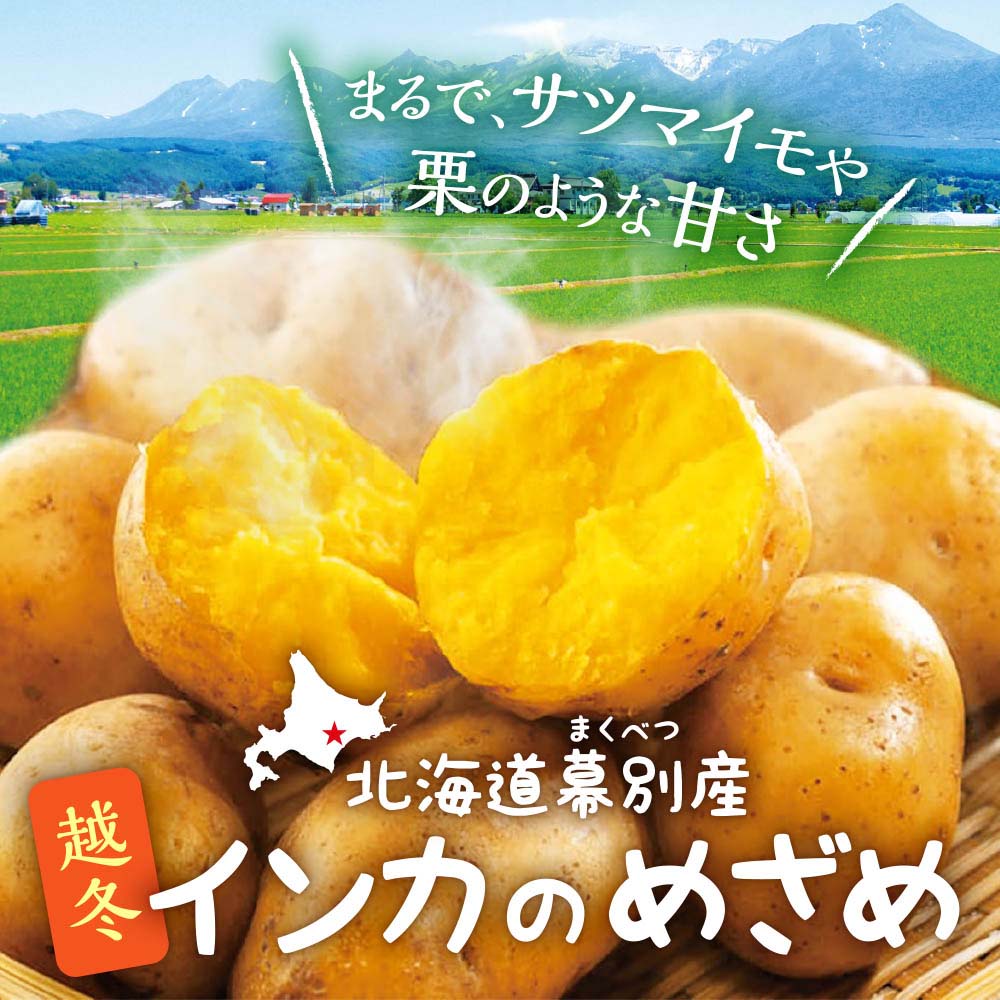 北海道幕別産 インカのめざめ