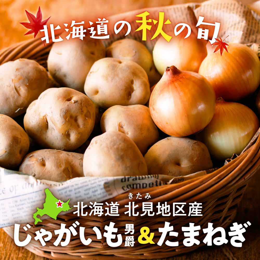 北海道北見地区産 じゃがいも男爵&たまねぎセット