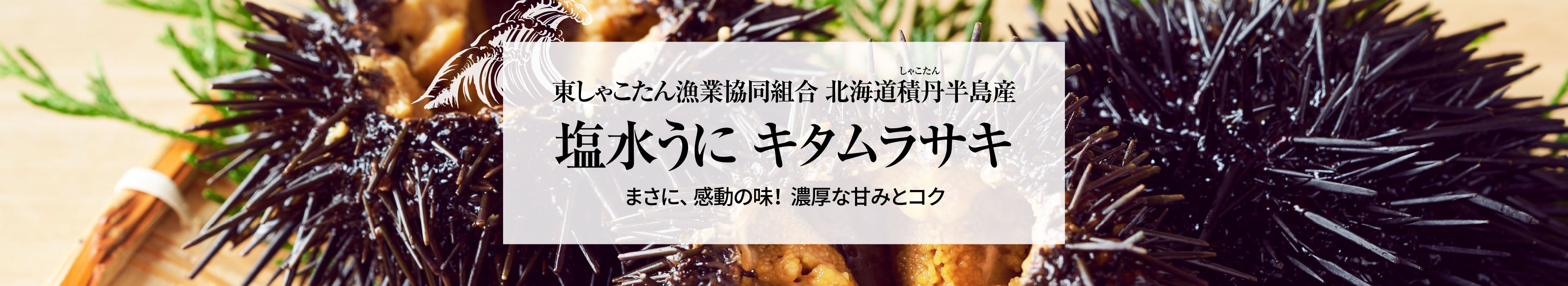 塩水うに キタムラサキ