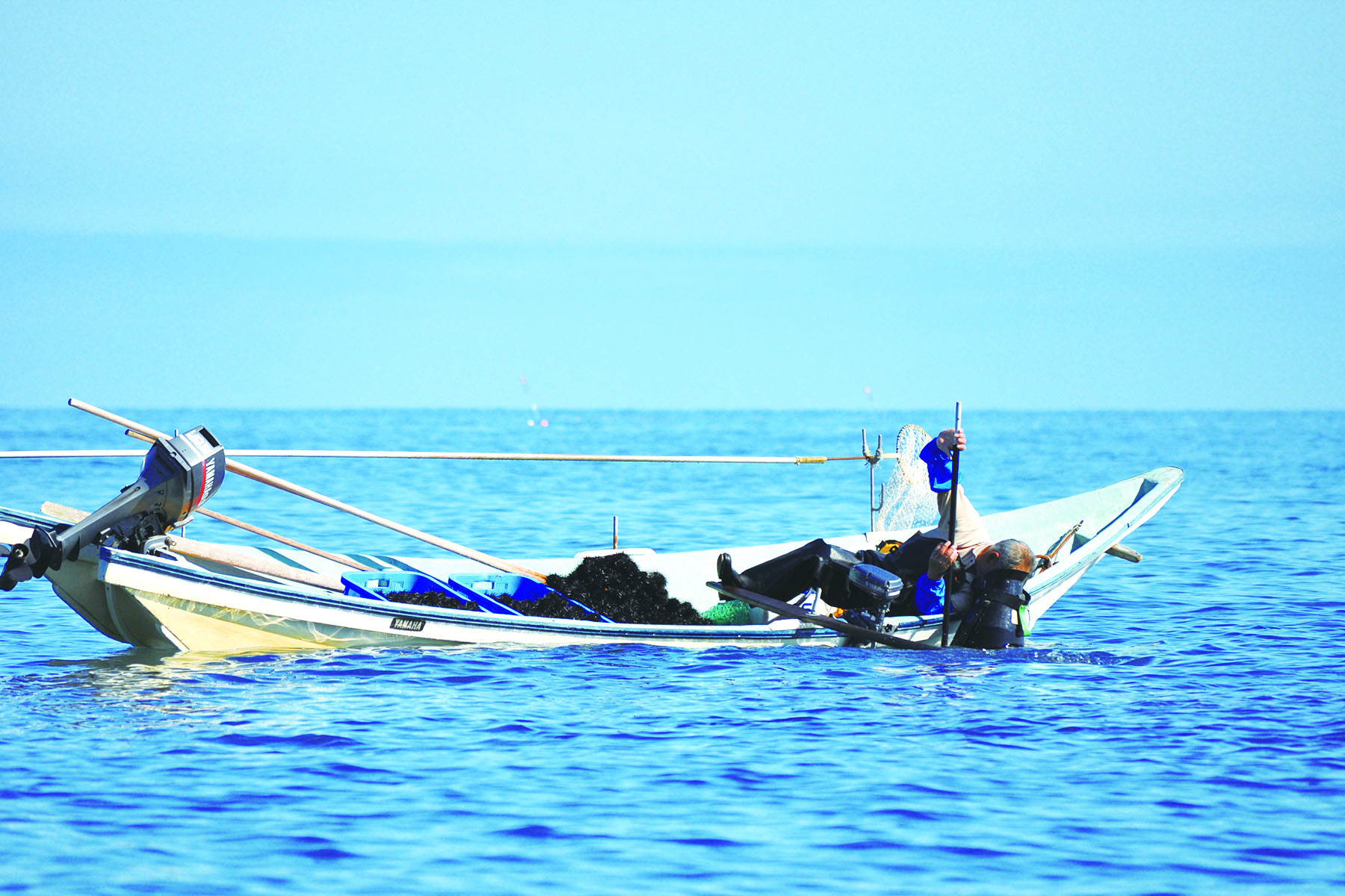 ウニ漁ってどんなもの？実は、漁師さんが海の中を覗いてひとつずつ手作業で獲っています。