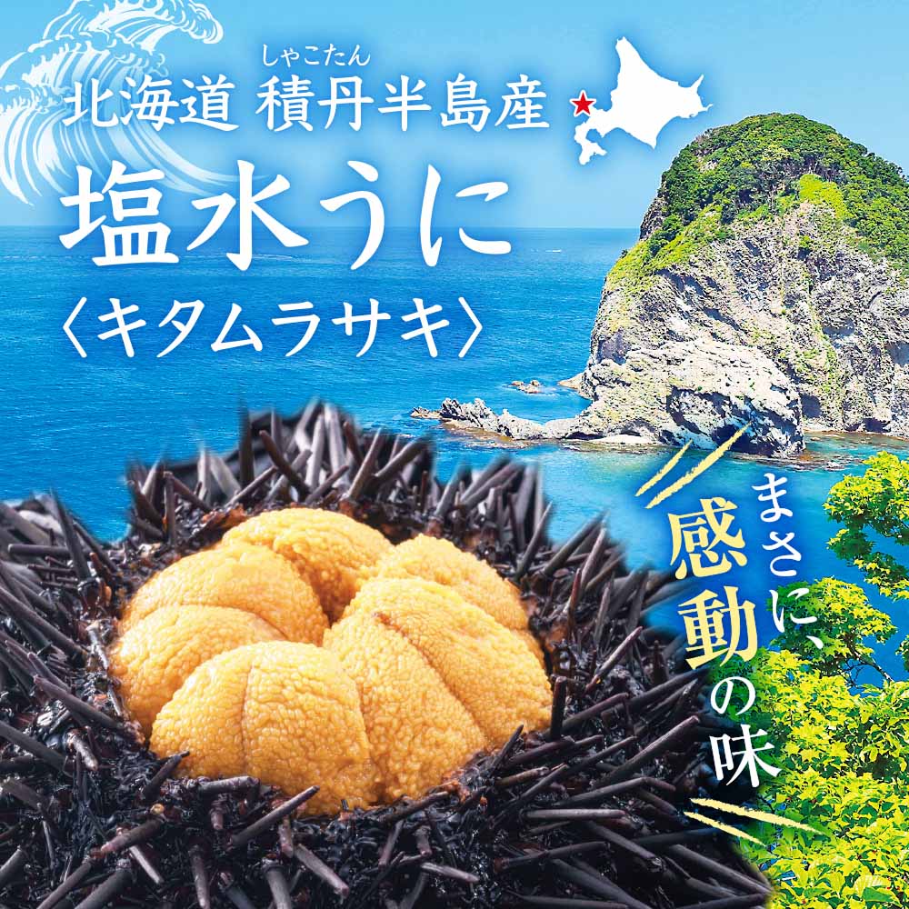 北海道積丹半島産 塩水うに キタムラサキ