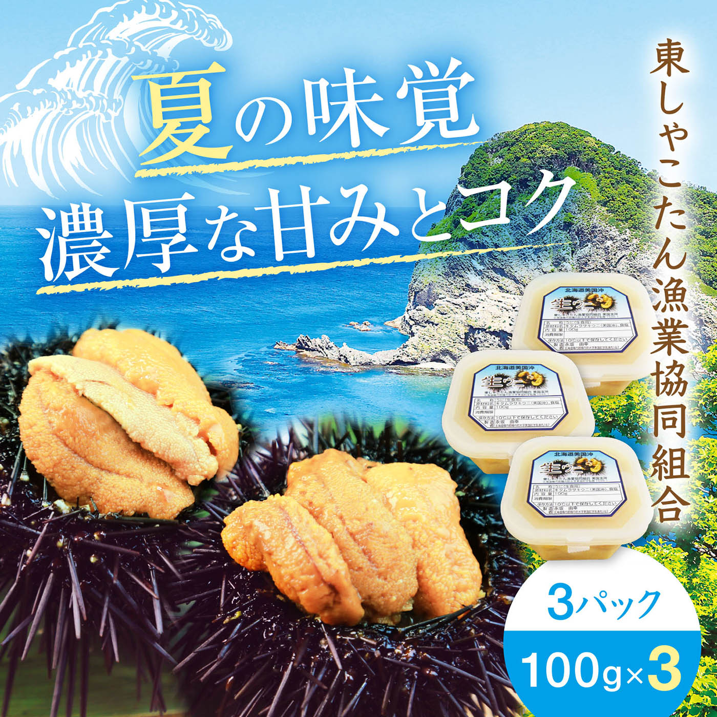 塩水うに キタムラサキ 100g×3パック