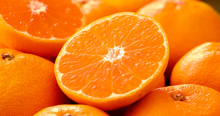 その時期、旬で一番おいしい農産品・海産品を皆さまへ！