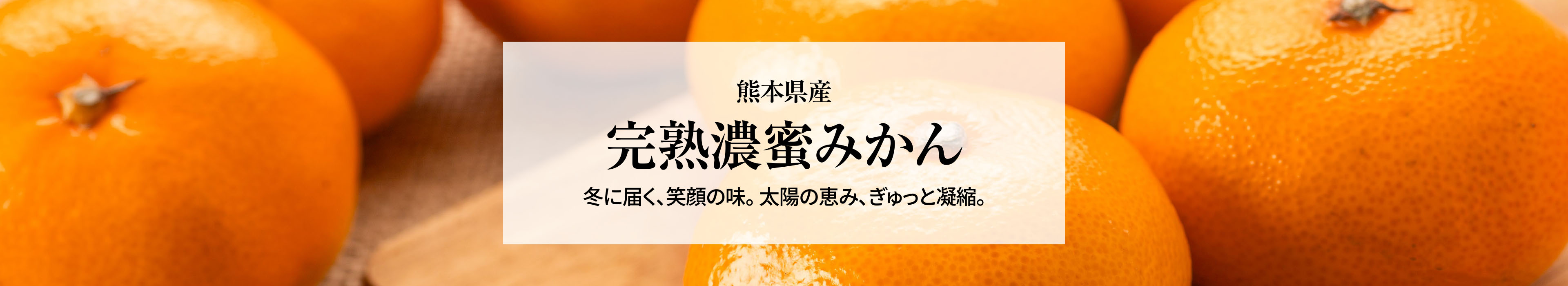 熊本県産 完熟濃蜜みかん