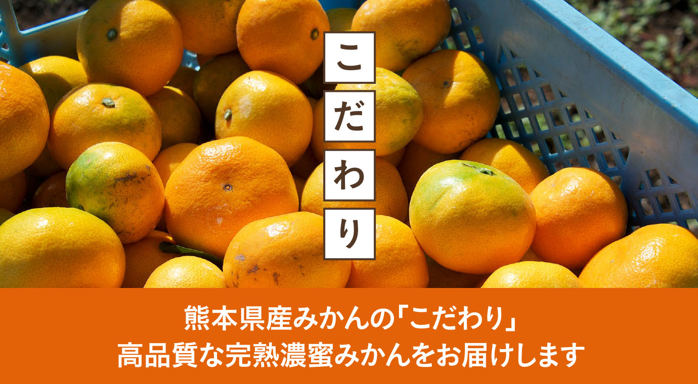 熊本県産みかんの「こだわり」高品質な完熟濃蜜みかんをお届けします