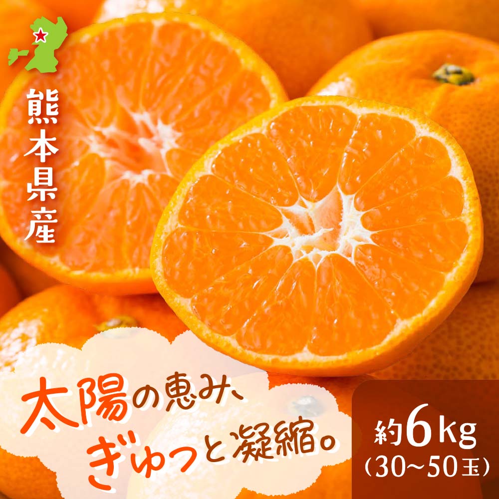 熊本県産 完熟濃蜜みかん 約6kg（30~50玉）