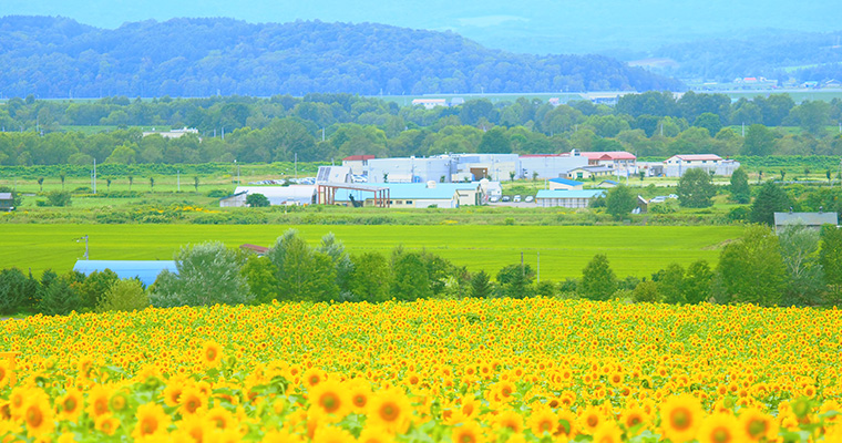 こだわりを知ってもらい、地域・産地を応援！