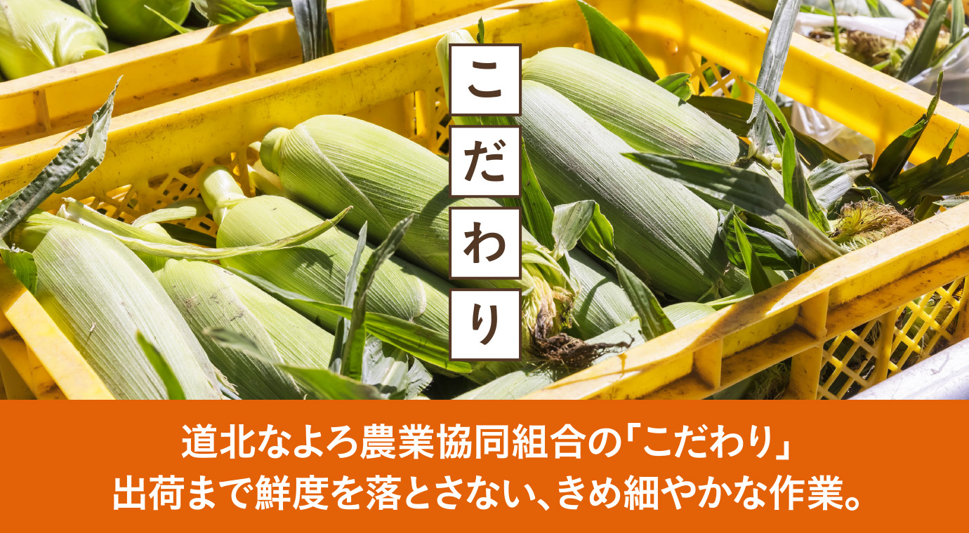 道北なよろ農業協同組合の「こだわり」。　出荷まで鮮度を落とさない、きめ細やかな作業。