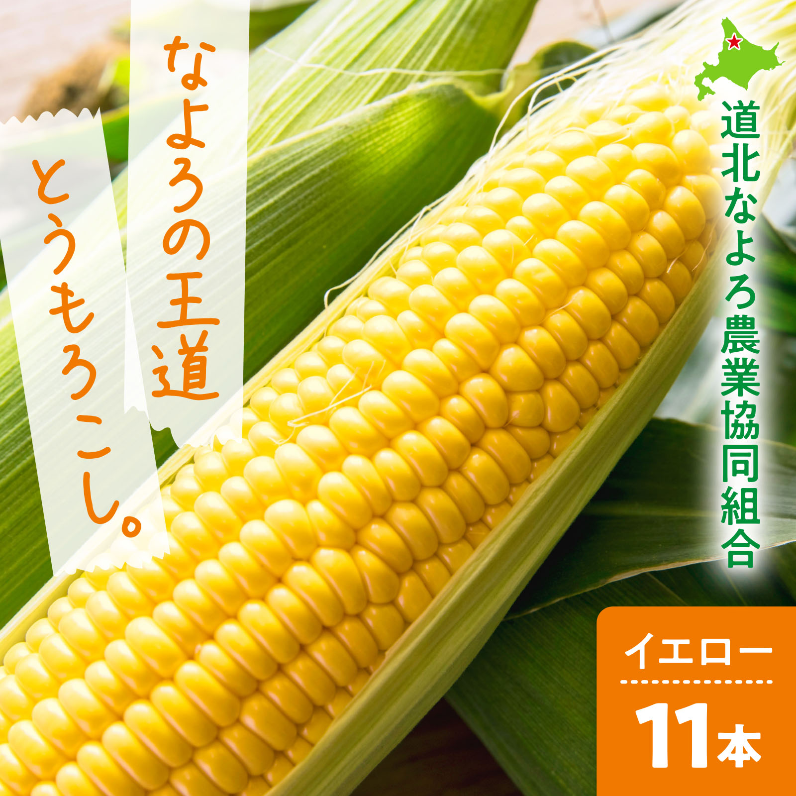 北海道名寄産 夏のとうもろこし〈秀品〉 なよろイエロー 11本