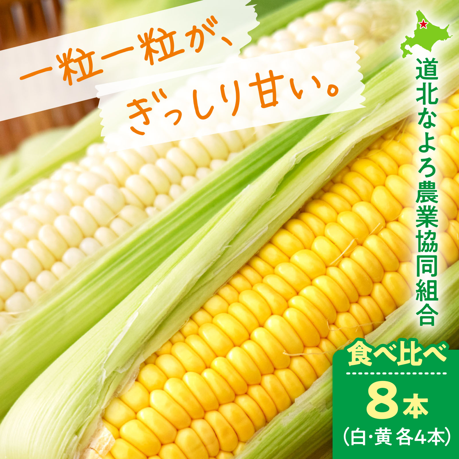 北海道名寄産 夏のとうもろこし〈秀品〉 2種食べ比べ 8本（白・黄 各4本）