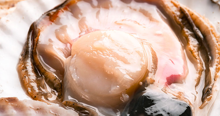 その時期、旬で一番おいしい農産品・海産品を皆さまへ！