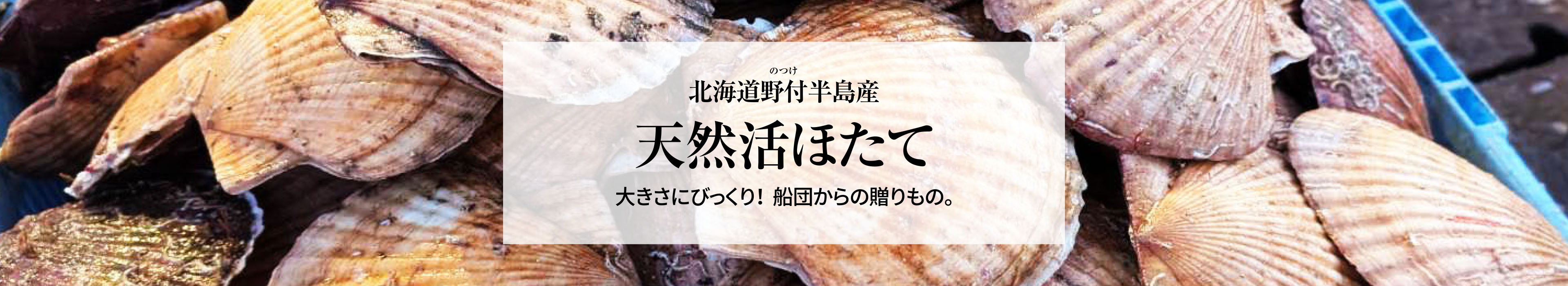 朝もぎアスパラ