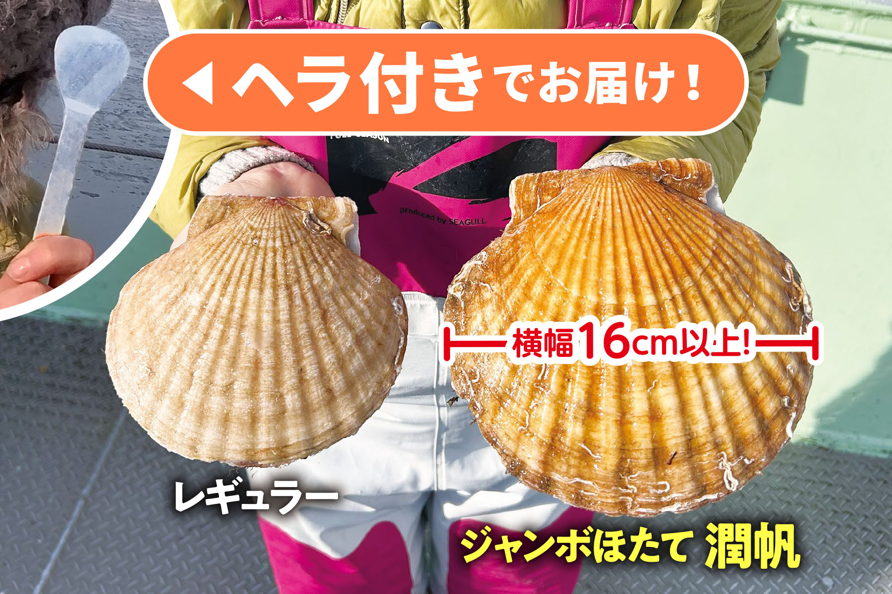 今回は特別に「ヘラ付き」でお届け！食べ方ガイドで簡単♪