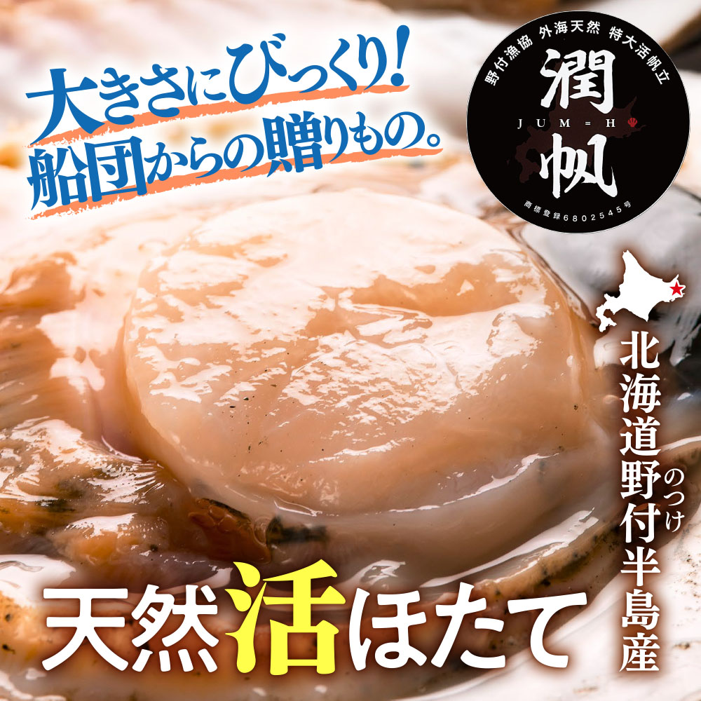 北海道野付半島産 活ほたて