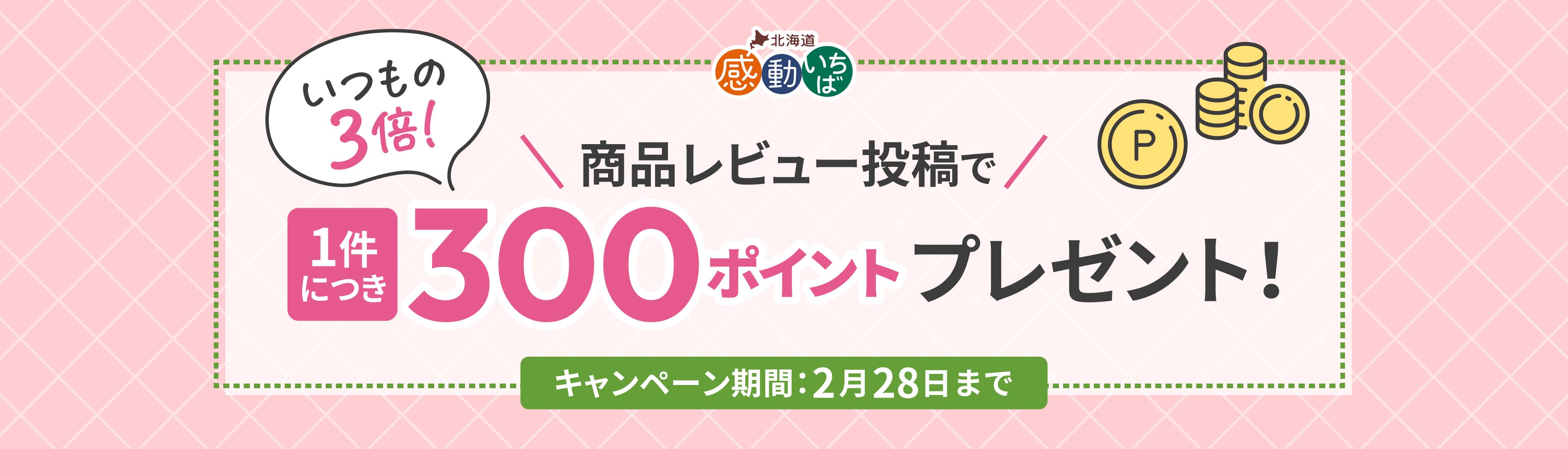 商品レビュー投稿で1件につき300ポイントプレゼント！