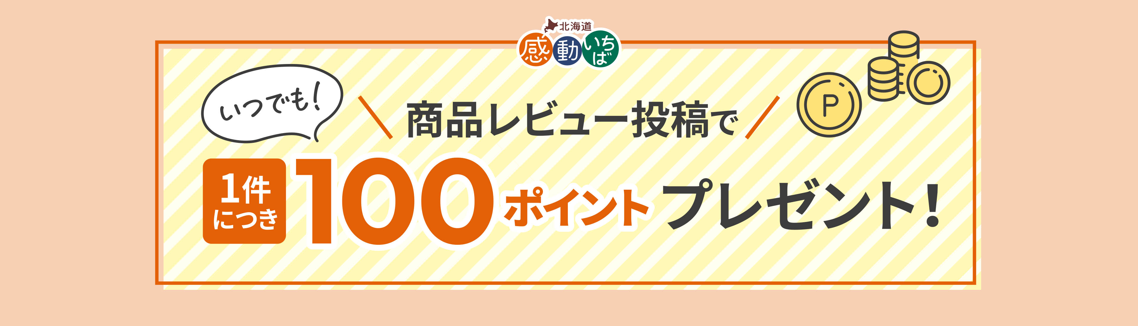商品レビュー投稿で1件につき100ポイントプレゼント！