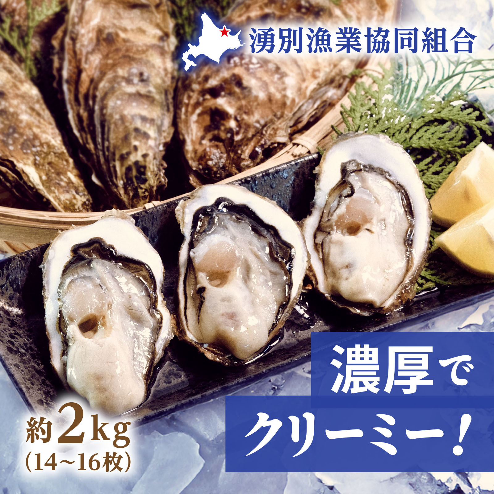 【12月】北海道湧別サロマ湖産 龍宮かき 約2kg（14~16枚）