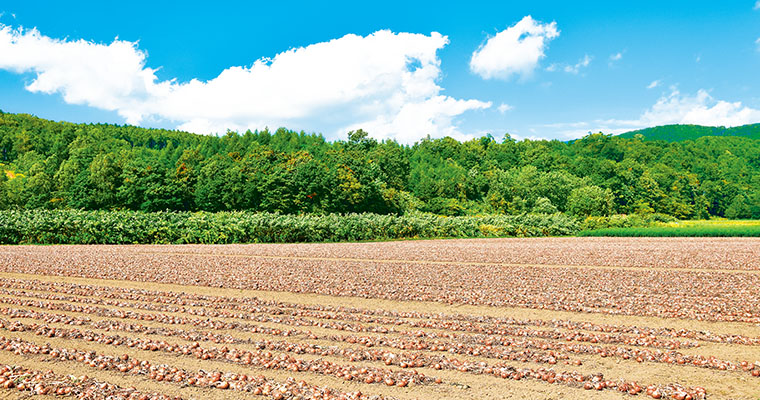 こだわりを知ってもらい、地域・産地を応援！