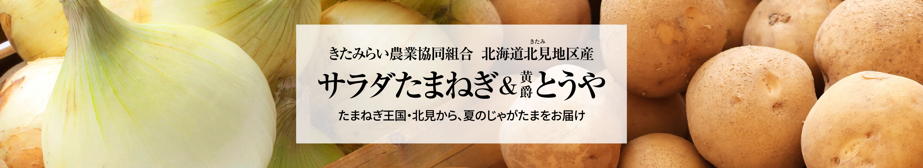 北海道北見地区産 サラダたまねぎ&じゃがいも黄爵とうや