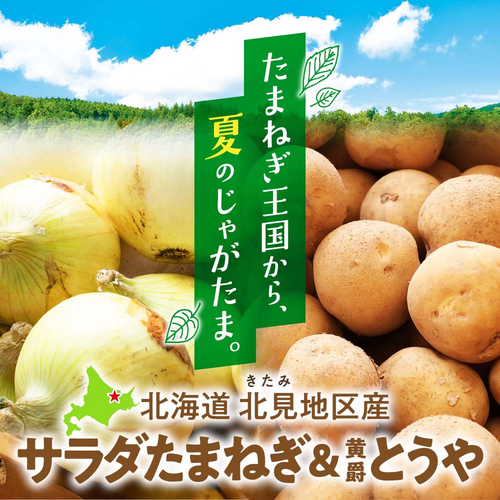 北海道北見地区産 サラダたまねぎ&じゃがいも黄爵とうや