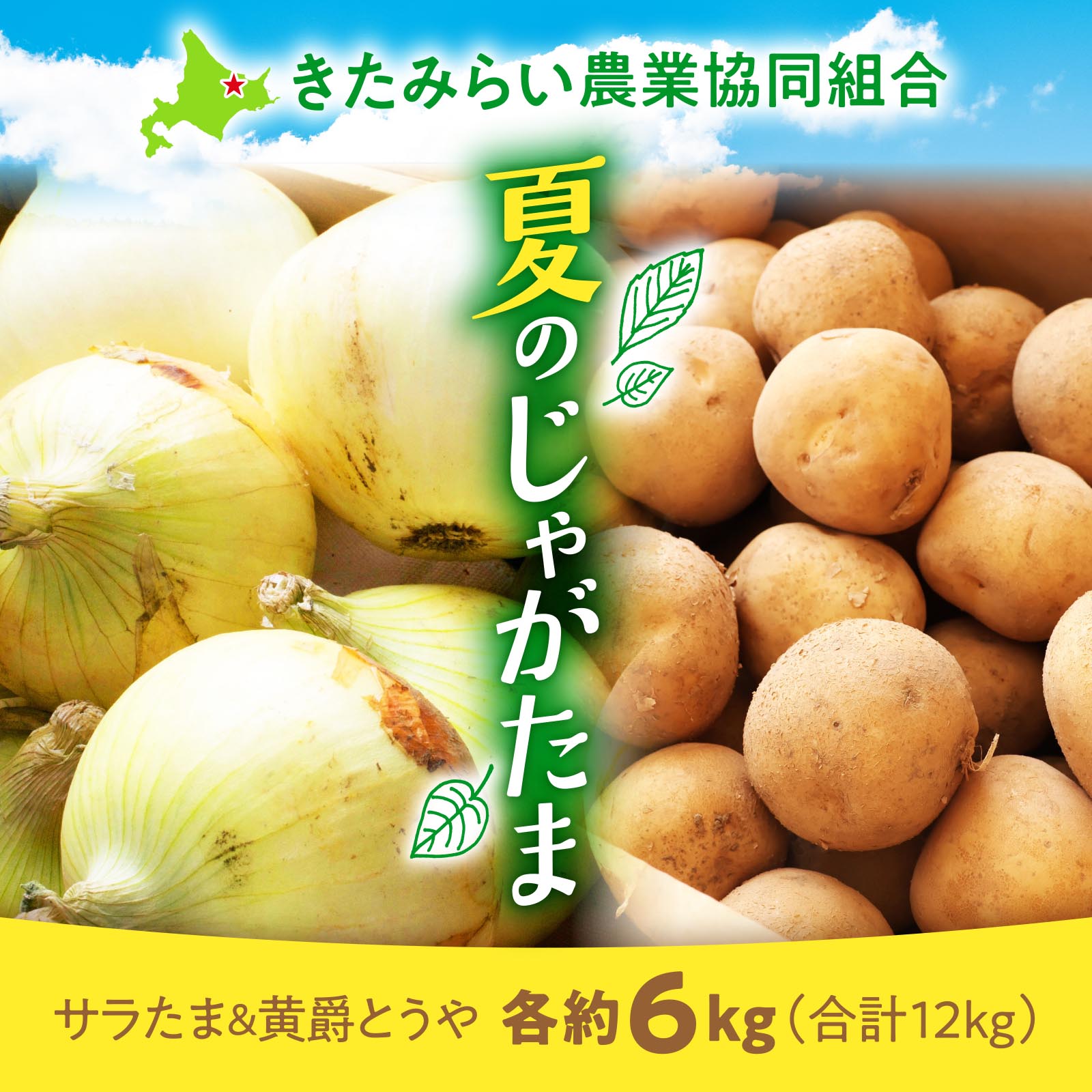 北海道北見地区産 サラダたまねぎ&じゃがいも黄爵とうや 各約6kg（合計12kg）