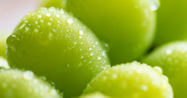 その時期、旬で一番おいしい農産品・海産品を皆さまへ！