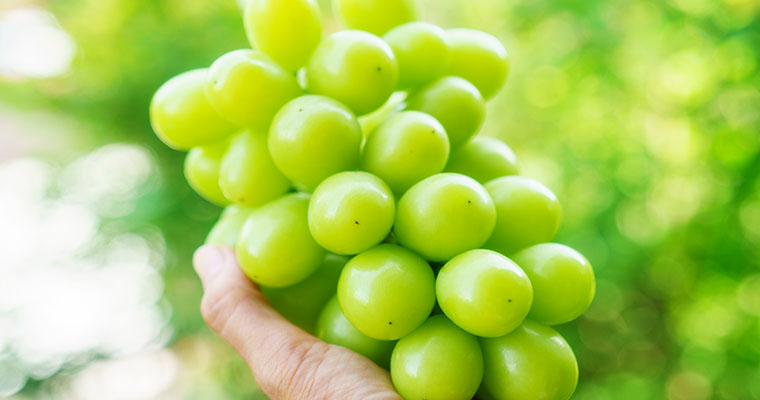 産地から、生の声をお届け！お客さまの声も産地へフィードバック！