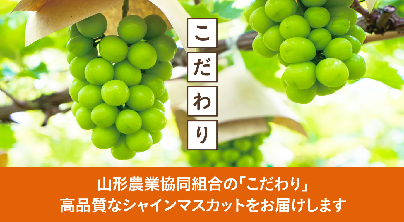 山形農業協同組合の「こだわり」高品質なシャインマスカットをお届けします