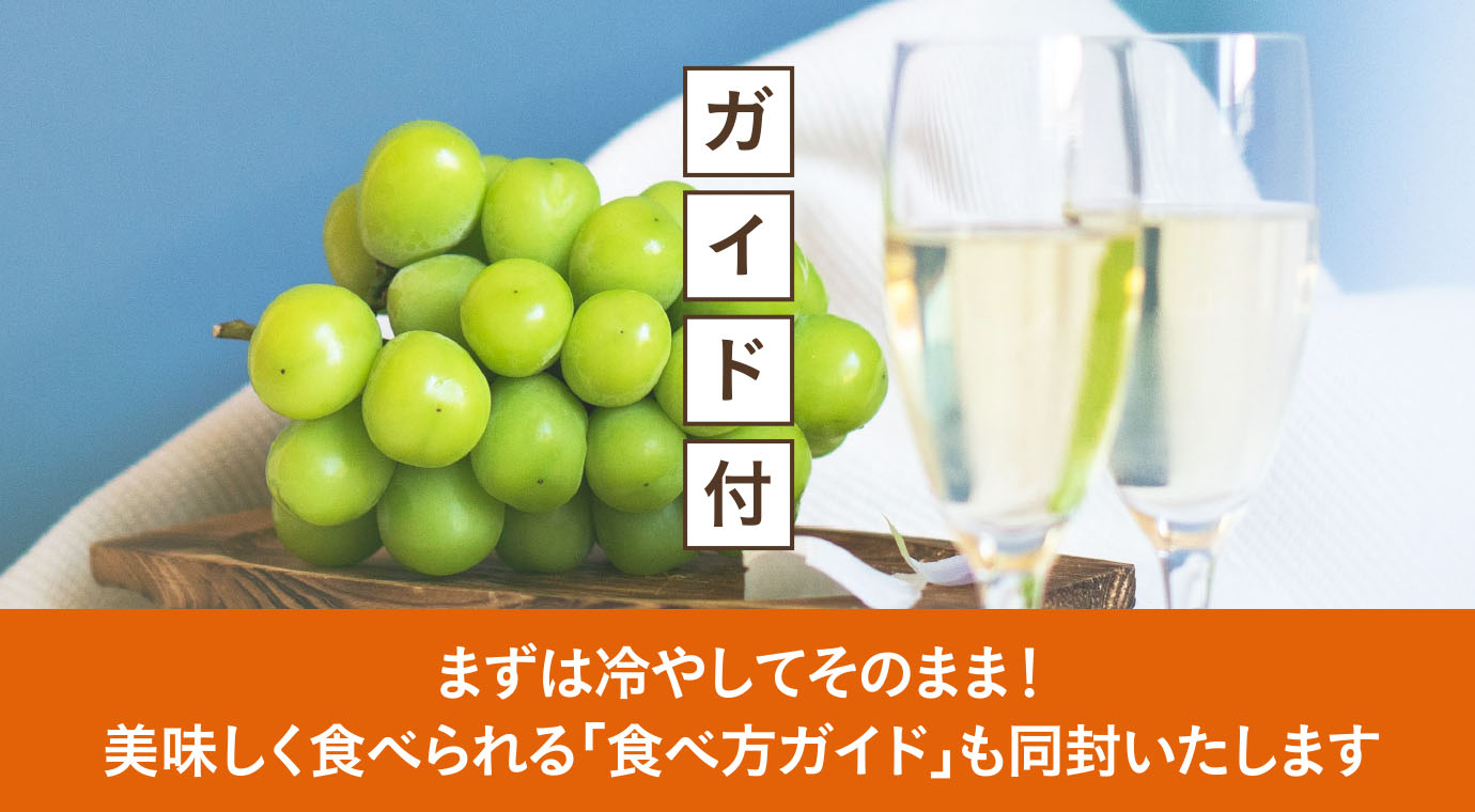 まずは冷やしてそのまま！美味しく食べられる「食べ方ガイド」も同封いたします