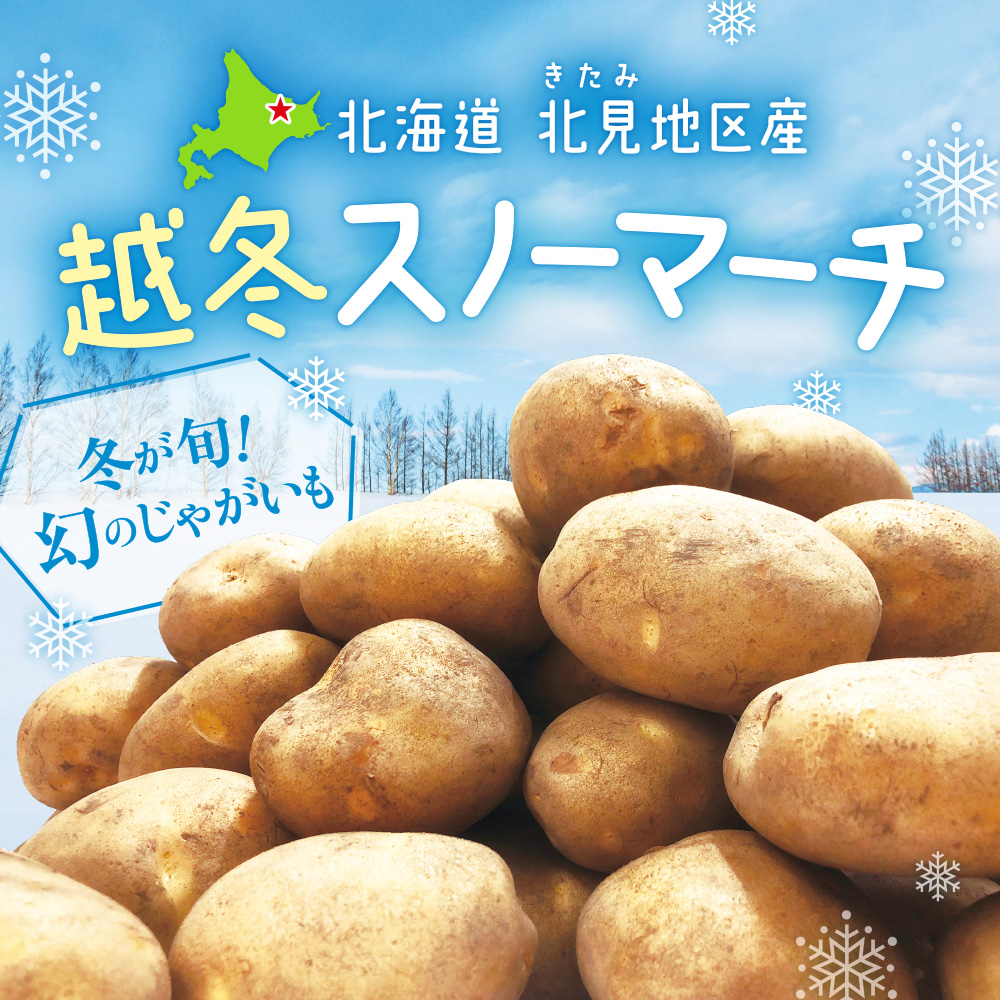 北海道北見地区産 越冬スノーマーチ