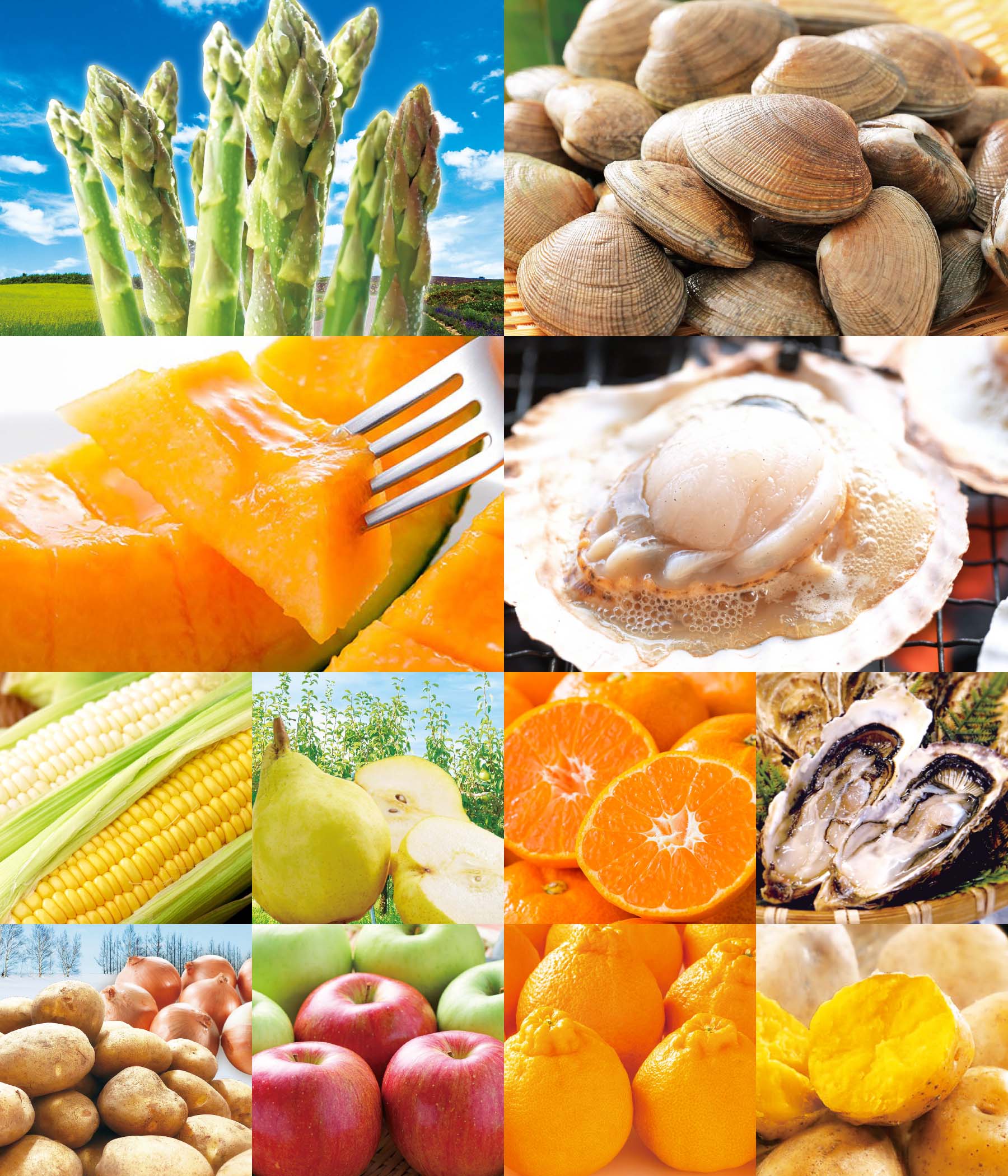 旬のとれたて産直品が「毎月」ご自宅に届きます！